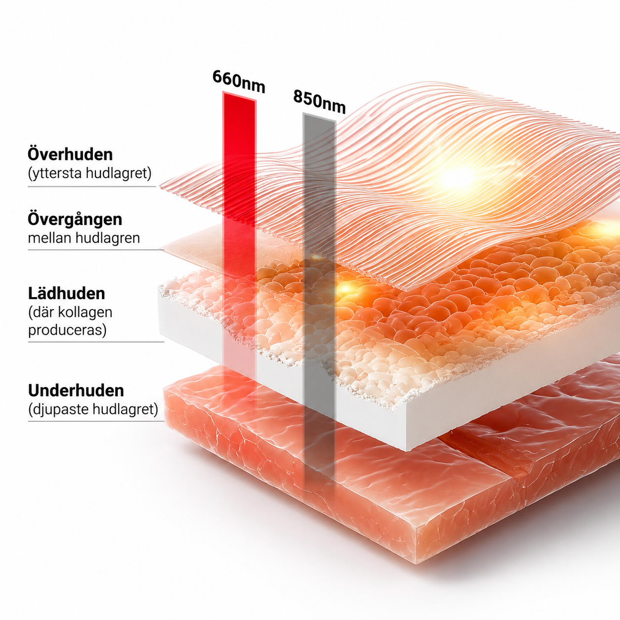 InfraPanelX® MAX – bild 7